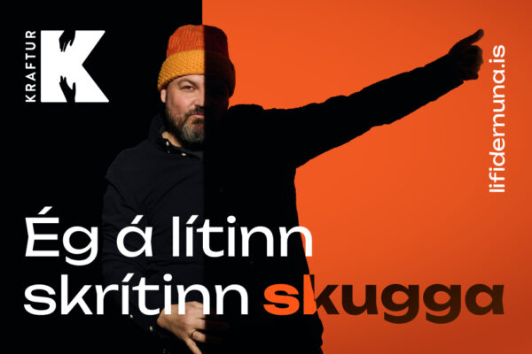 1000x652_skuggi-magnus